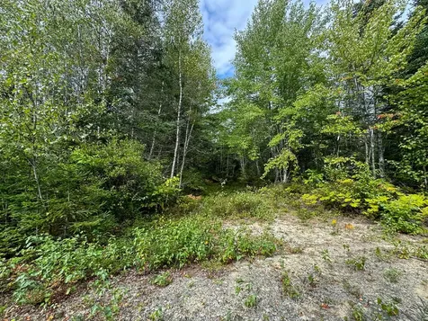 Lot 6 Black Cow Meadow Road Northfield ME 04654