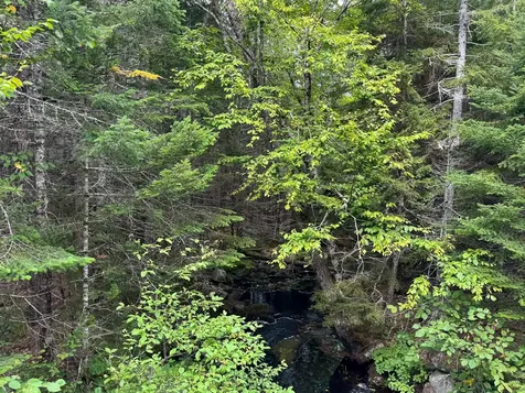 Lot 6 Black Cow Meadow Road Northfield ME 04654