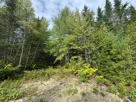 Lot 6 Black Cow Meadow Road Northfield ME 04654