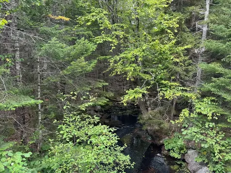 Lot 6 Black Cow Meadow Road Northfield ME 04654