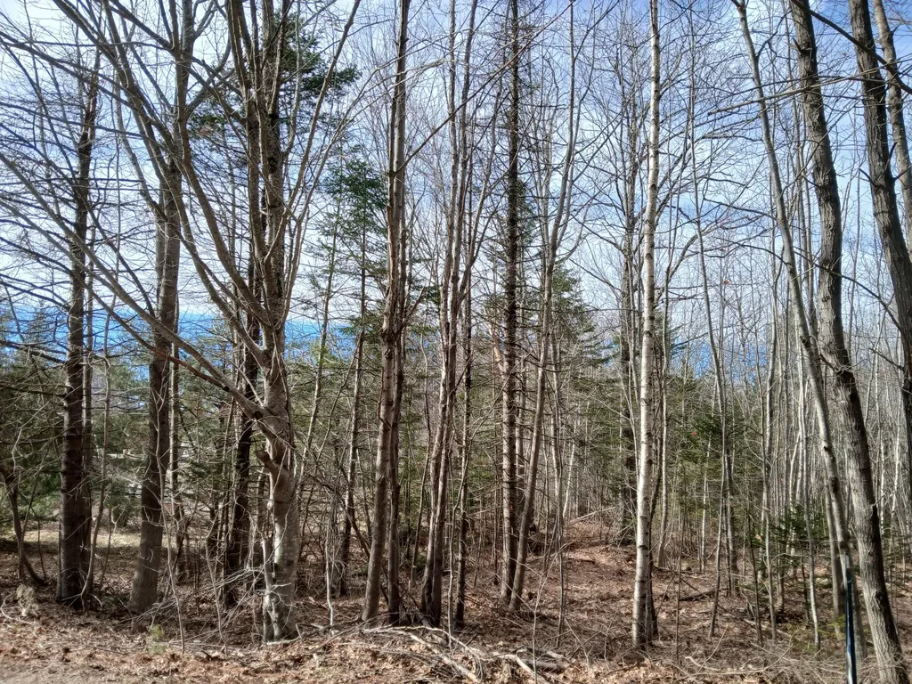 Lot 69-12 Hilltop Drive Wiscasset ME 04578