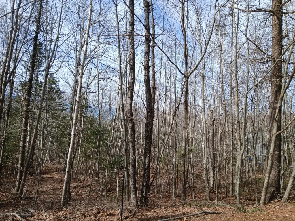 Lot 69-12 Hilltop Drive Wiscasset ME 04578