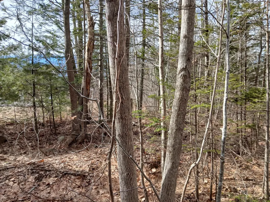 Lot 69-12 Hilltop Drive Wiscasset ME 04578