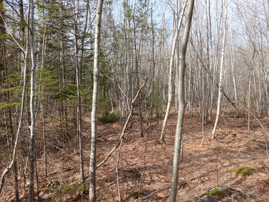 Lot 69-12 Hilltop Drive Wiscasset ME 04578
