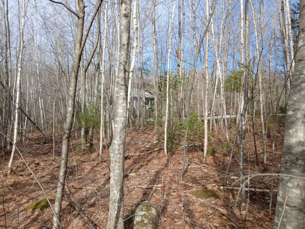 Lot 69-12 Hilltop Drive Wiscasset ME 04578