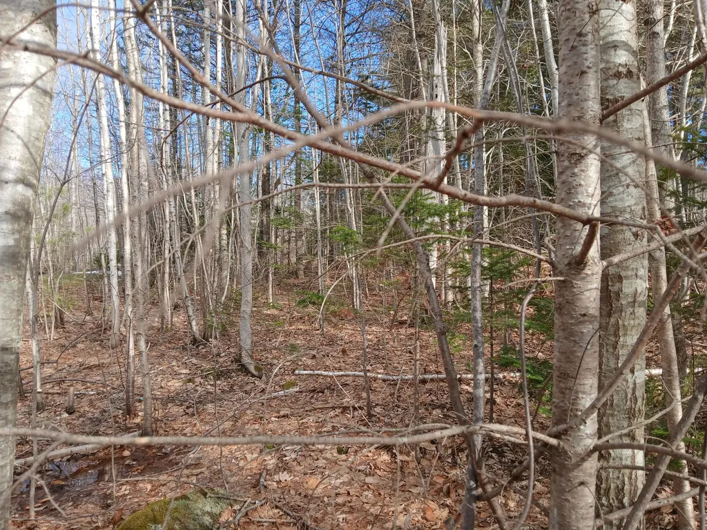 Lot 69-12 Hilltop Drive Wiscasset ME 04578