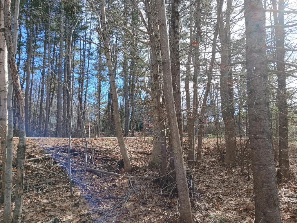 Lot 69-12 Hilltop Drive Wiscasset ME 04578