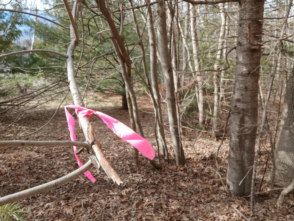 Lot 69-12 Hilltop Drive Wiscasset ME 04578
