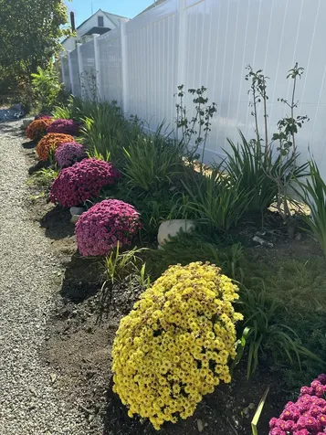 994 Portland Road Saco ME 04072
