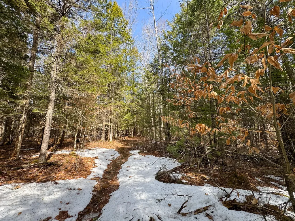 631 River Road Brunswick ME 04011