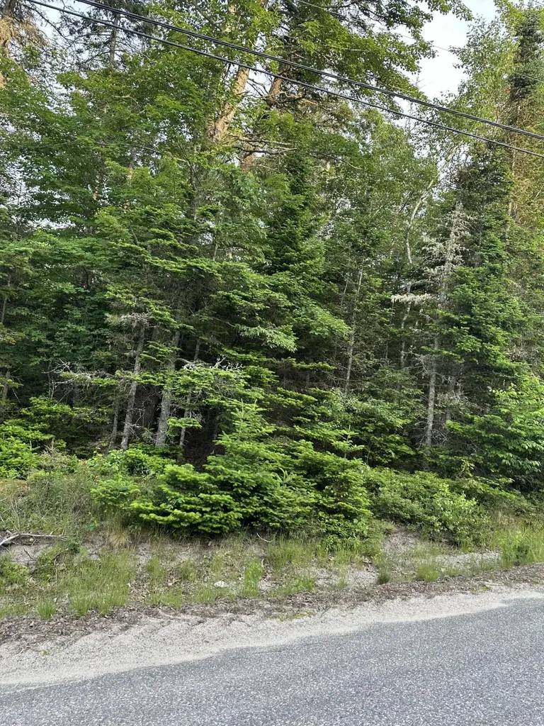 Cherryfield ME 04622