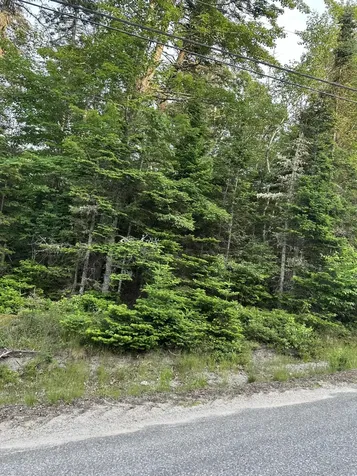 Cherryfield ME 04622