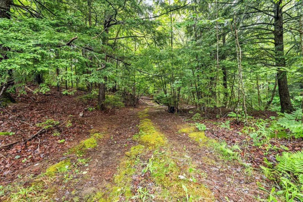 Lot #34 Atlantic Highway Northport ME 04849