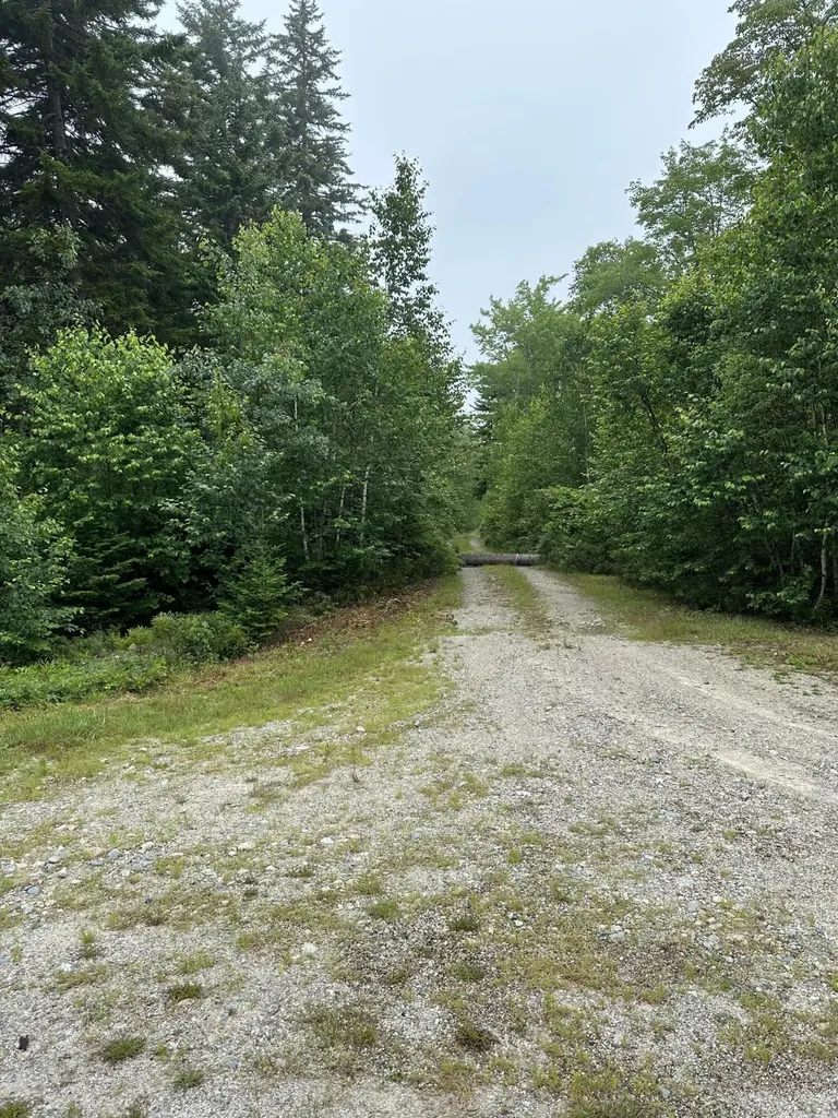 Lot 44 Estates Road Steuben ME 04680