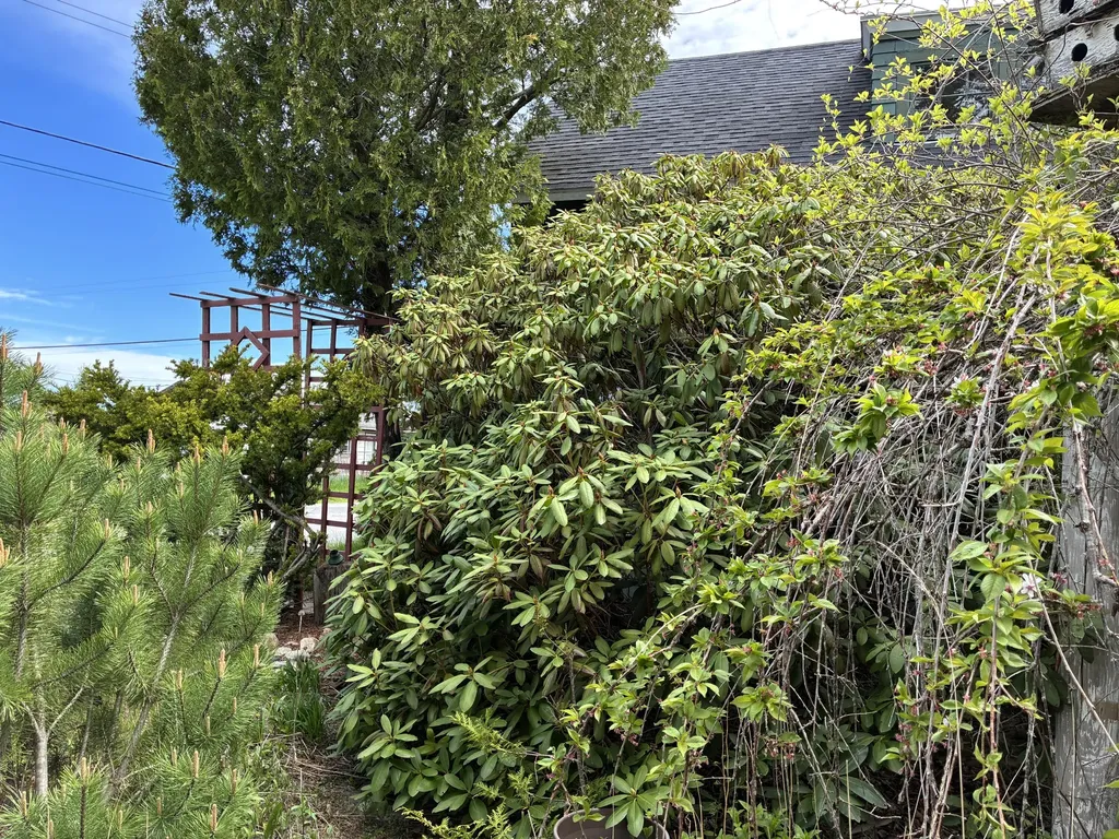 68 Village Road Steuben ME 04680