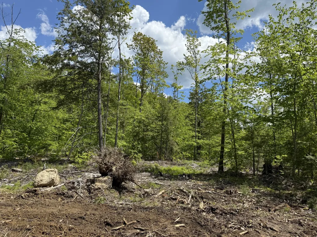 Lot 4 Brookhaven Lane Harrison ME 04040