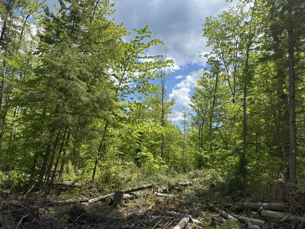 Lot 4 Brookhaven Lane Harrison ME 04040