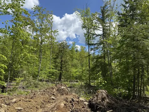 Lot 4 Brookhaven Lane Harrison ME 04040