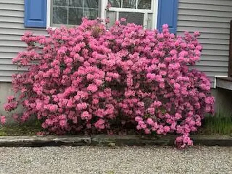 27 Oak Point Road Harrington ME 04643