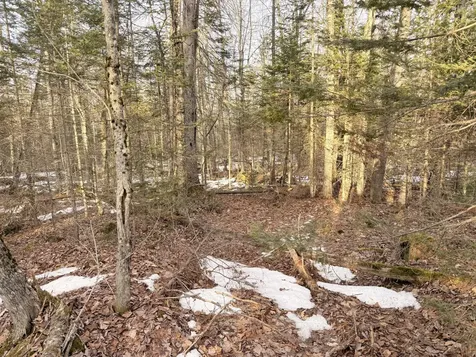 370 Maple Road Atkinson ME 04426