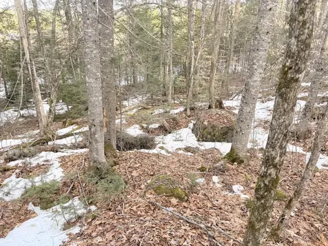 370 Maple Road Atkinson ME 04426