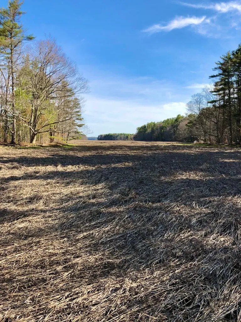 Lot # 19 Bald Head Road Arrowsic ME 04530