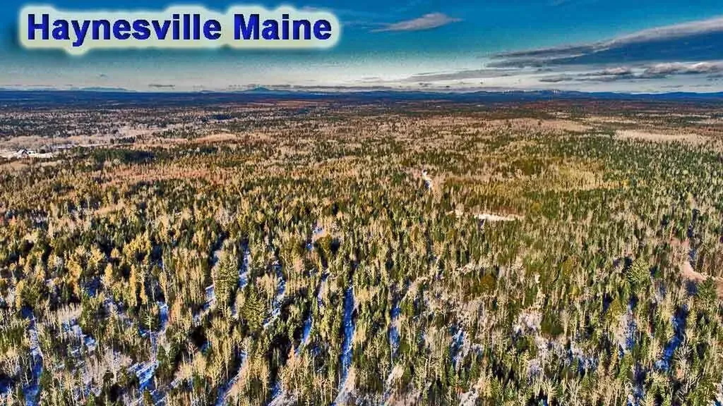 Lot 12 Denmark Road Haynesville ME 04497
