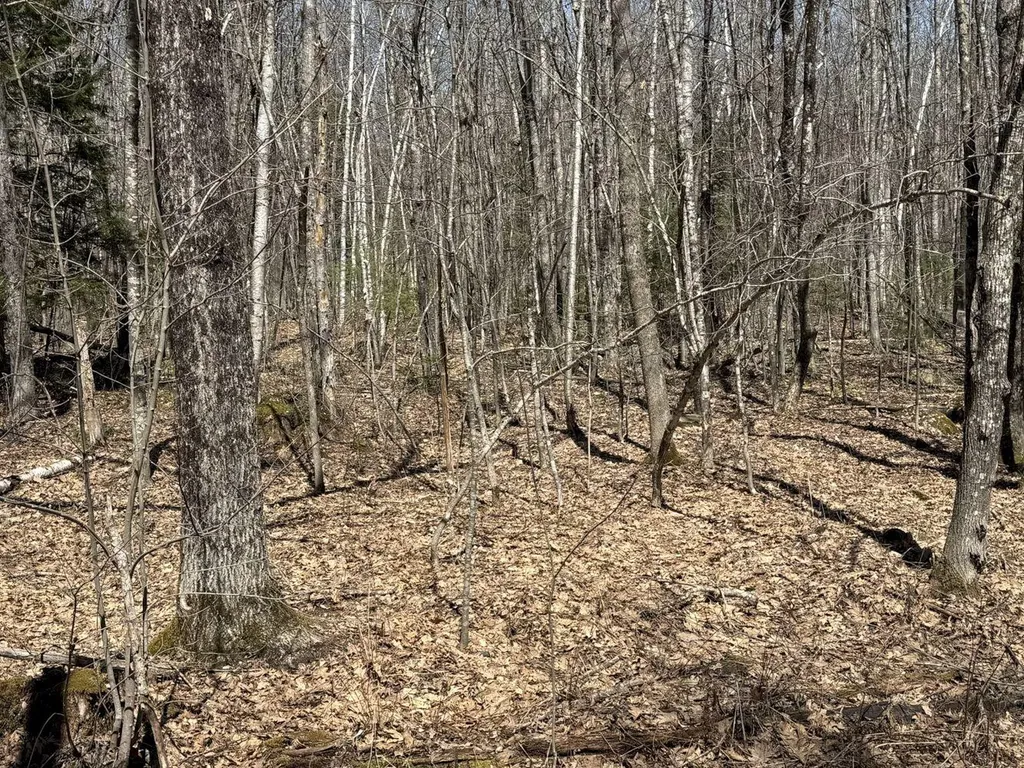 M14 L39 Sandy Point Road Vassalboro ME 04989