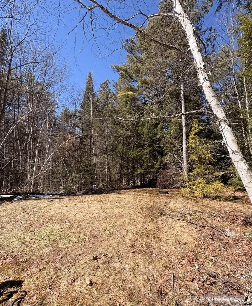 24 Conejo Lane Buckfield ME 04220