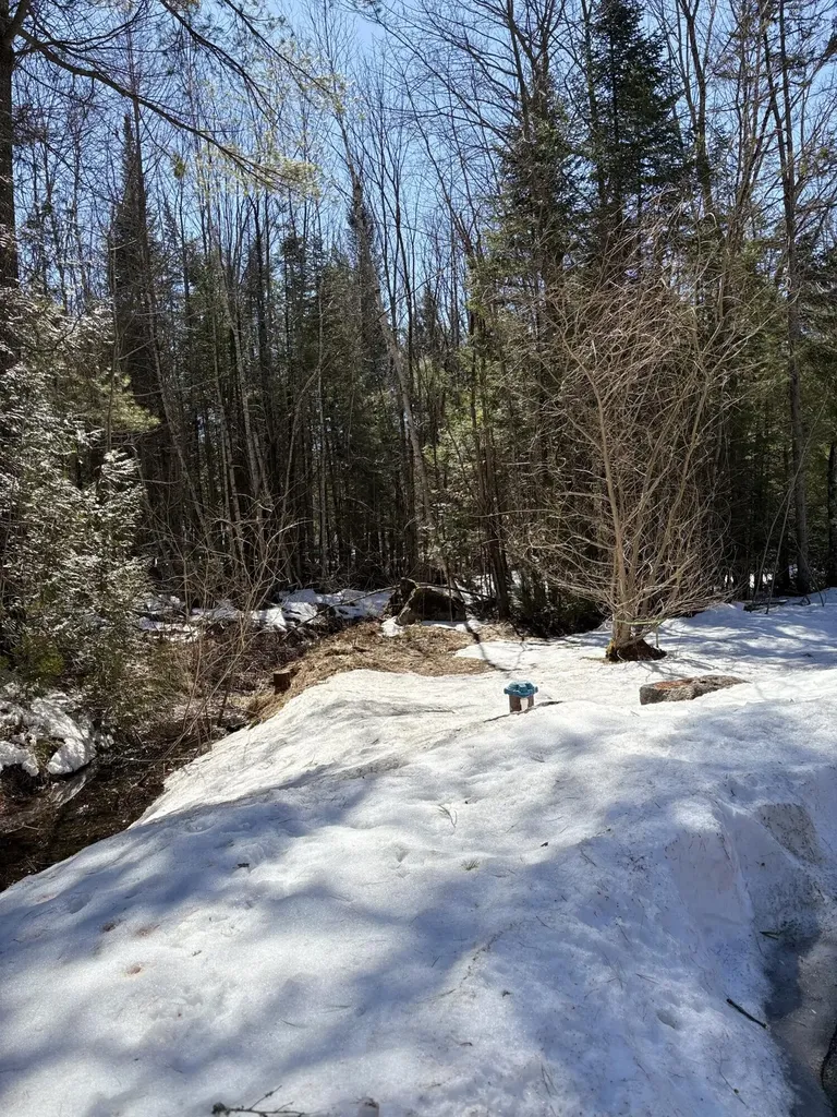 24 Conejo Lane Buckfield ME 04220