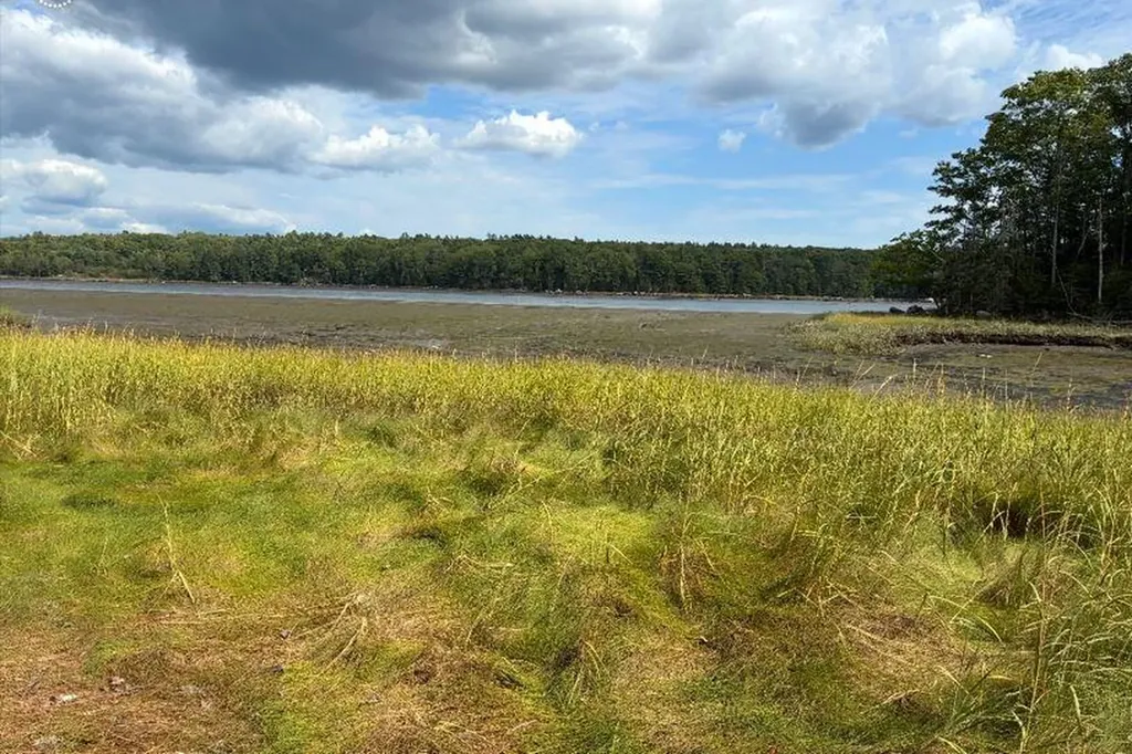 5-F, 4-a Leaches Point Road Orland ME 04472