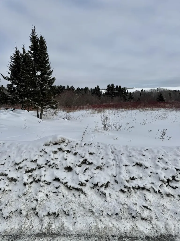 314 Flat Mountain Road Saint Agatha ME 04772