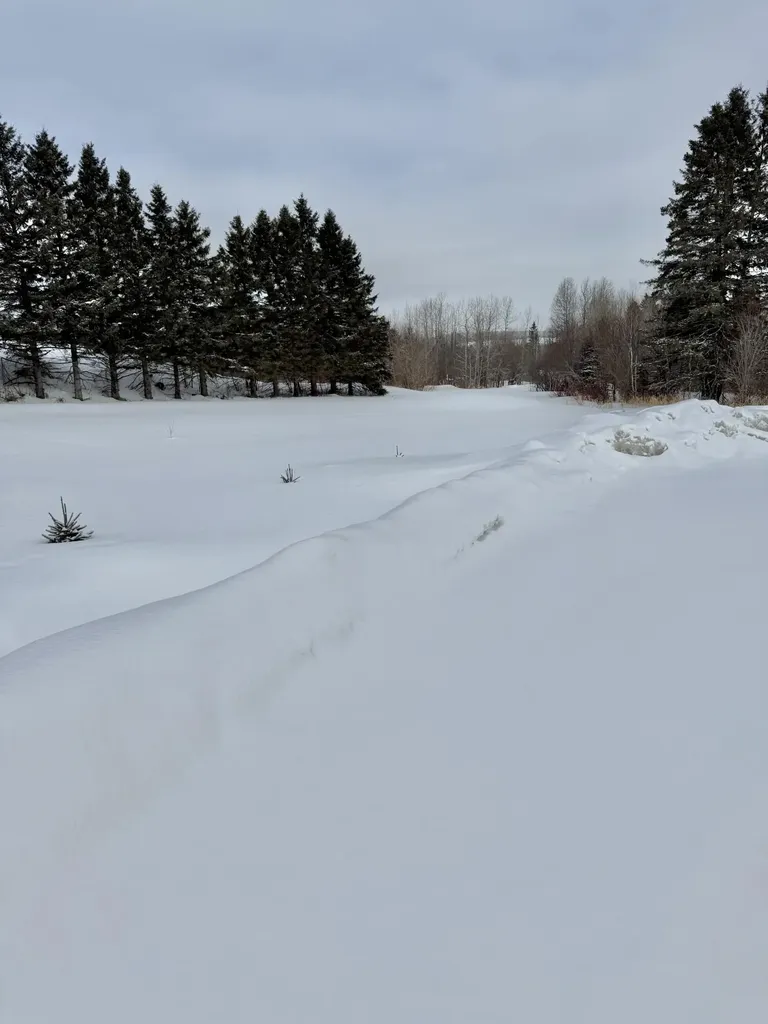 314 Flat Mountain Road Saint Agatha ME 04772