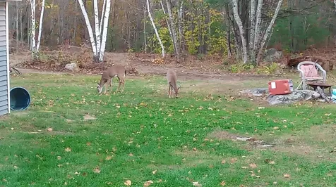 35 Pierce Road Oxford ME 04270