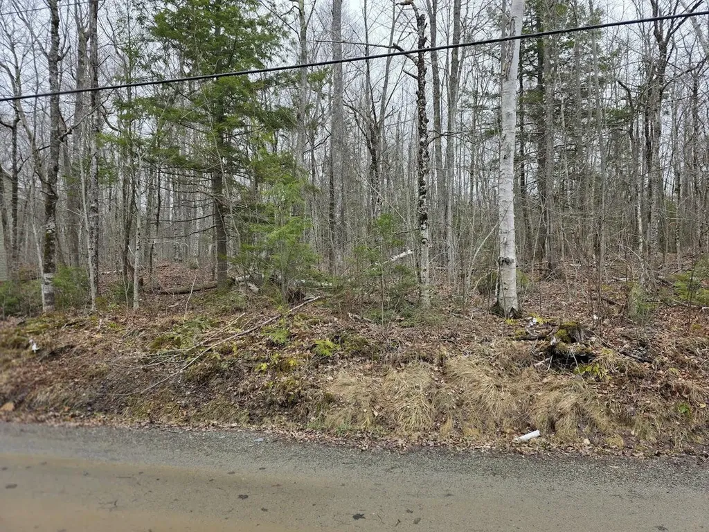 55 Cove Way Ellsworth ME 04605