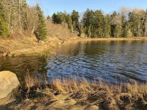 Lot 52 Old Route 1 Jonesboro ME 04648
