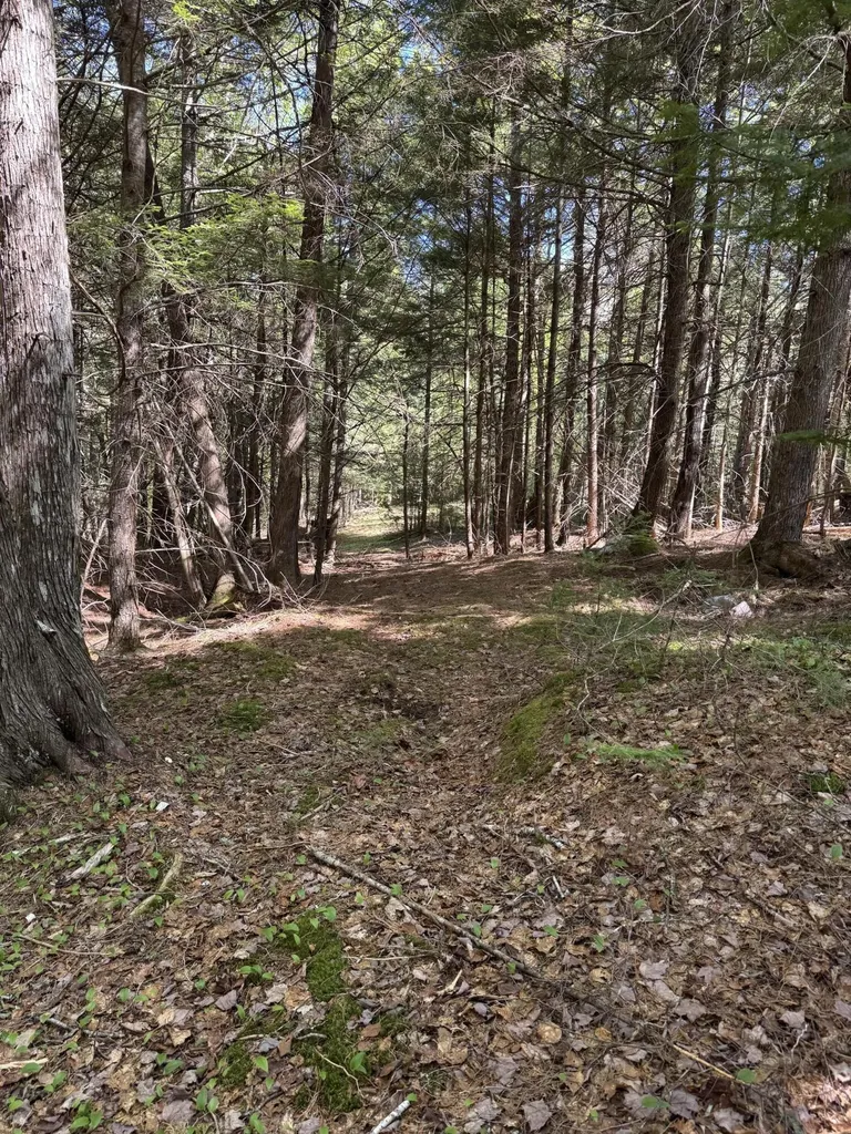 Lot 13 Route 9 Aurora ME 04428