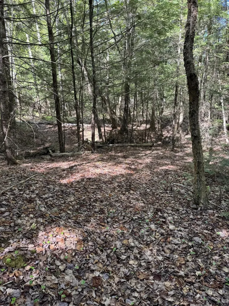 Lot 13 Route 9 Aurora ME 04428