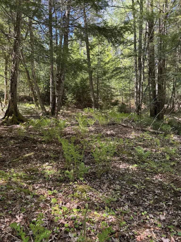 Lot 13 Route 9 Aurora ME 04428