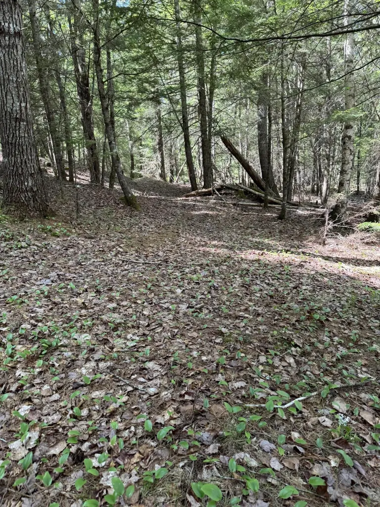 Lot 13 Route 9 Aurora ME 04428