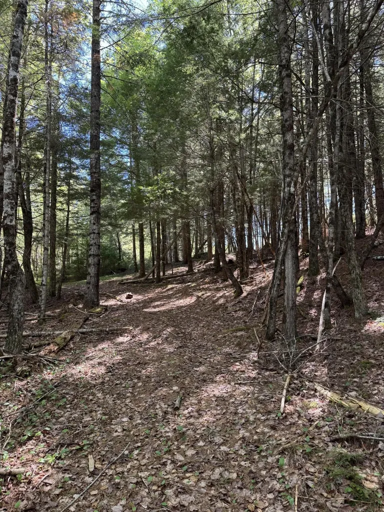 Lot 13 Route 9 Aurora ME 04428