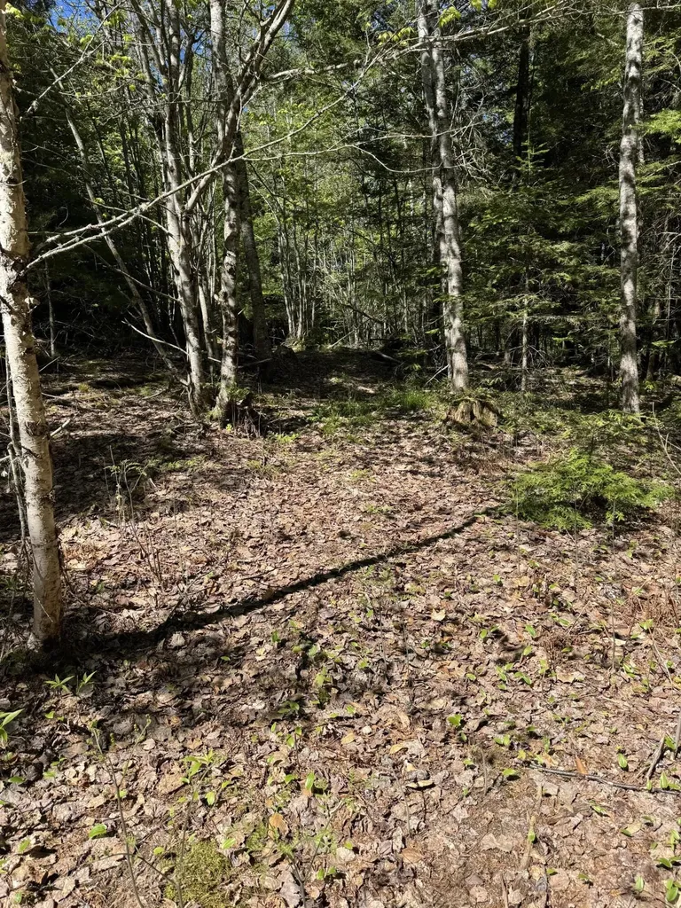 Lot 13 Route 9 Aurora ME 04428