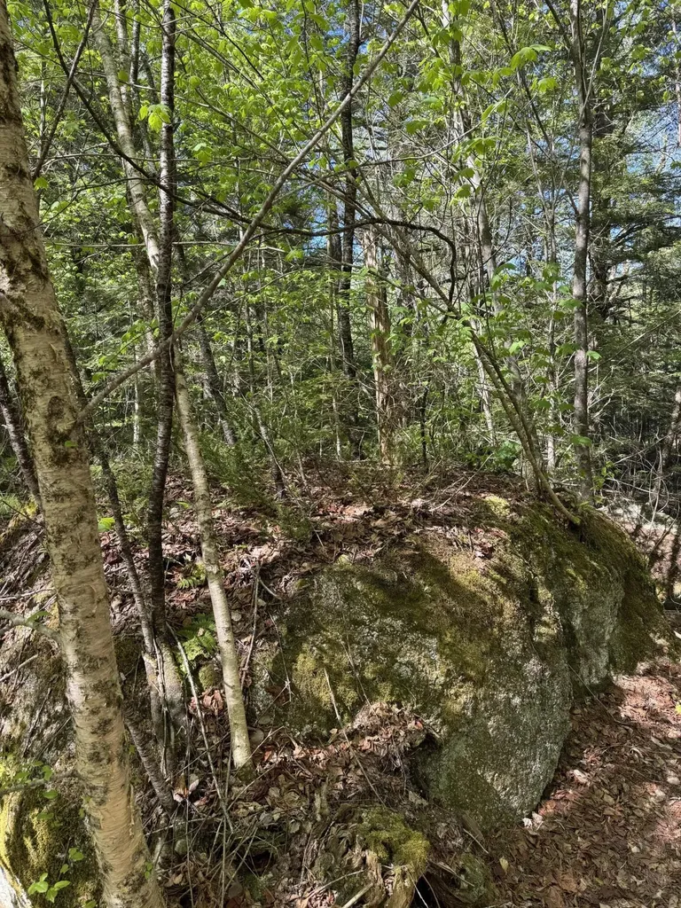 Lot 13 Route 9 Aurora ME 04428