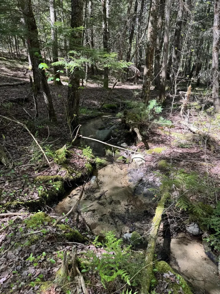 Lot 13 Route 9 Aurora ME 04428
