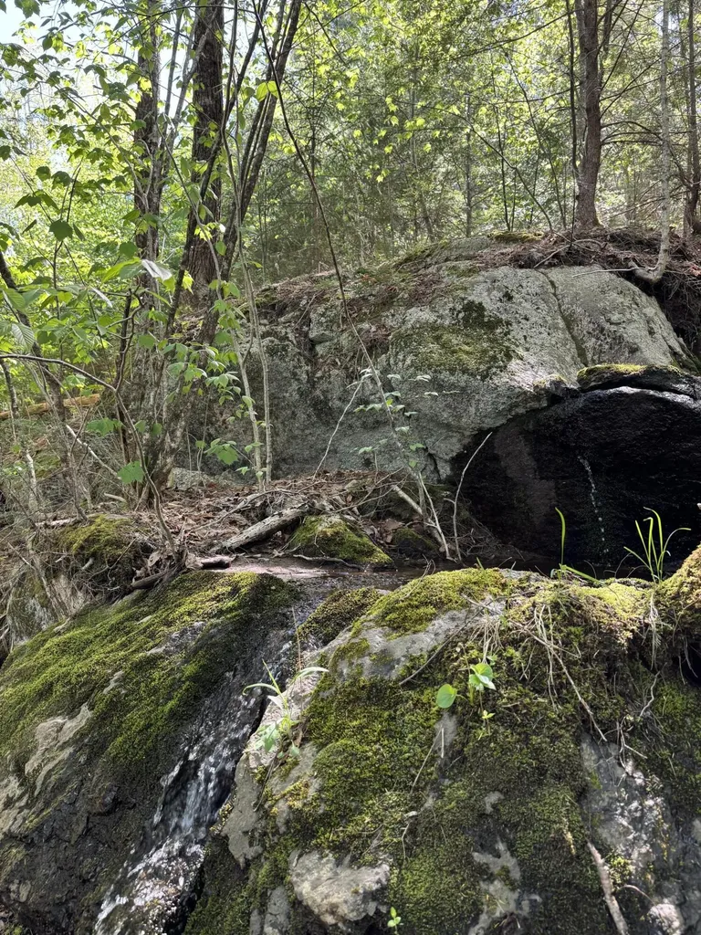 Lot 13 Route 9 Aurora ME 04428