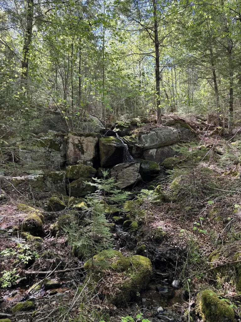 Lot 13 Route 9 Aurora ME 04428