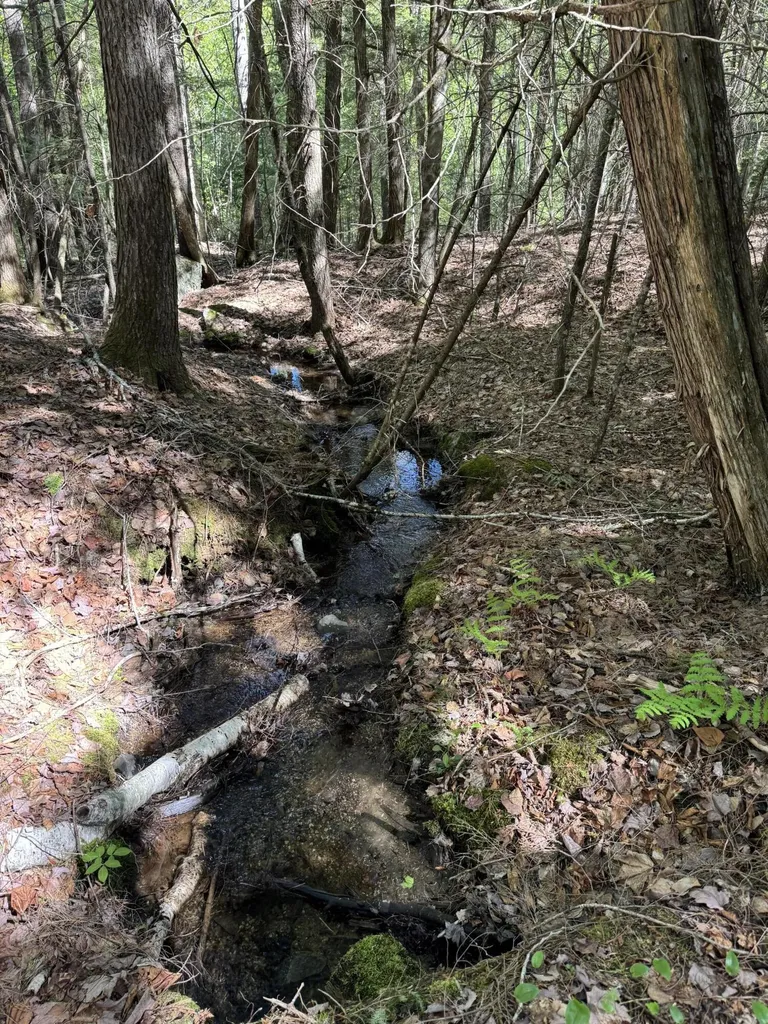 Lot 13 Route 9 Aurora ME 04428
