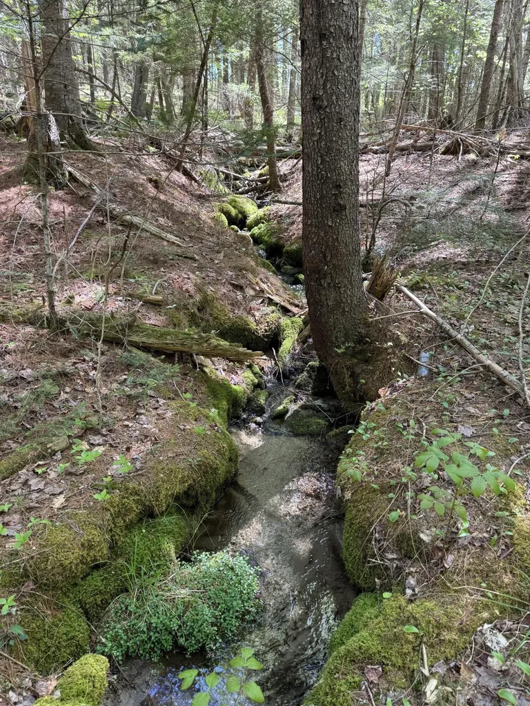 Lot 13 Route 9 Aurora ME 04428