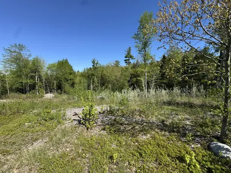 Lot 13 Route 9 Aurora ME 04428