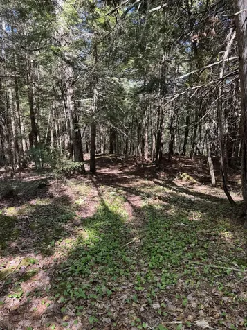 Lot 13 Route 9 Aurora ME 04428
